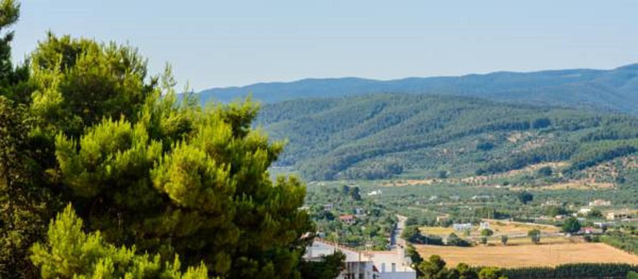 B&B Rose Villa Peschici Eksteriør billede